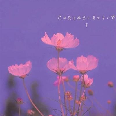 半导体育官方app