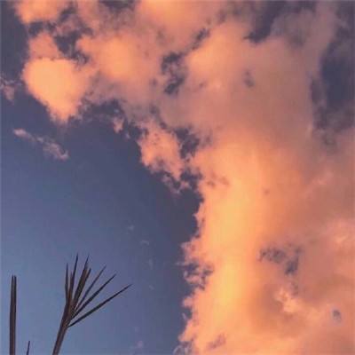 4949澳门免费资料大全